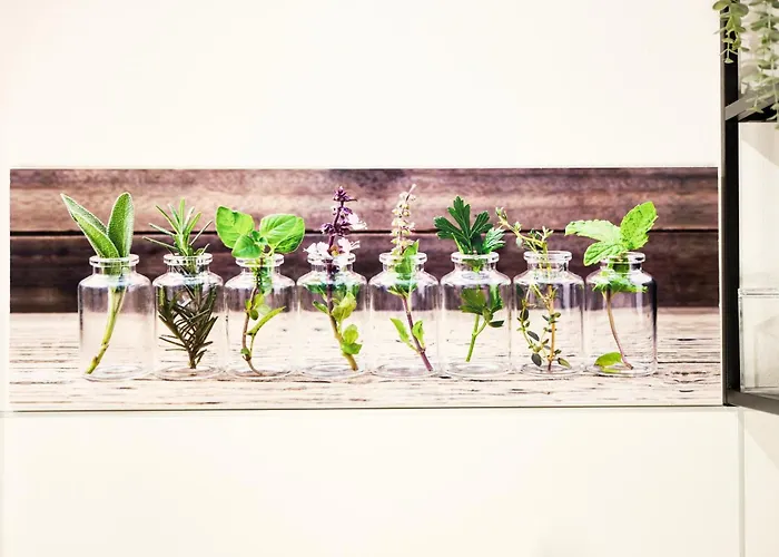 Lägenhet Gemuetliche 2zi. Seligenstadt